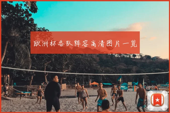 欧洲杯各队阵容高清图片一览