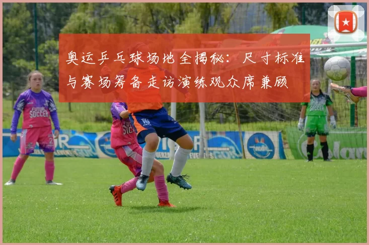 奥运乒乓球场地全揭秘：尺寸标准与赛场筹备走访演练观众席兼顾