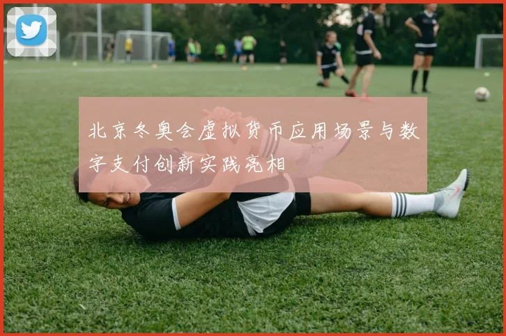 北京冬奥会虚拟货币应用场景与数字支付创新实践亮相